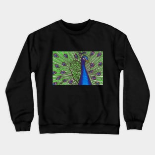 Peacock Crewneck Sweatshirt